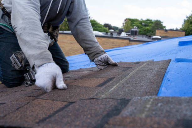 Best Roof Restoration Services  in Fort Polk North, LA