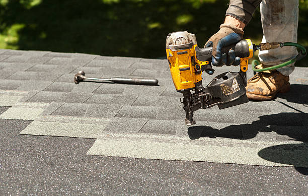 Best Roof Gutter Cleaning  in Fort Polk North, LA